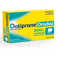 Dolipraneorodoz 500 Mg, Comprimé Orodispersible à Dreux